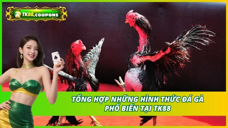 Các Hình Thức Đá Gà Phổ Biến Tại TK88